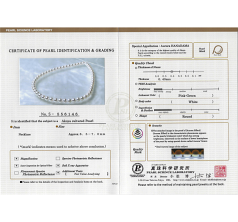 9-9.5mm Japonská Akoya Náhrdelník v Hanadama 16-inch - Hanadama 16 palců. Bílý