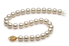 7.5-8mm Japonská Akoya Náhrdelník v Bílý
