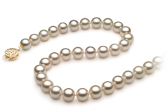 7.5-8mm Japonská Akoya Náhrdelník v Bílý